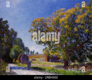 Champs autour de la forêt 1895 par Alfred Sisley Banque D'Images