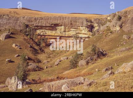 Eland antilope pâturage dans la réserve de gibier du château Giants dans le parc Ukhahlamba Drakensberg dans le KwaZulu-Natal en Afrique du Sud. Banque D'Images