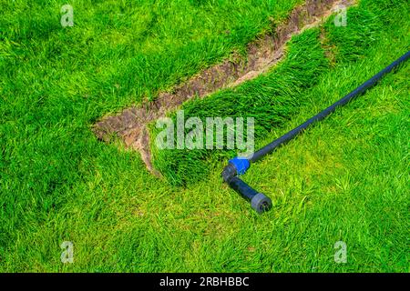 Pose précise du système d'irrigation dans la pelouse finie en été Banque D'Images