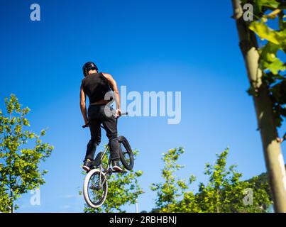 cavalier de bmx sautant haut et faisant un tour risqué de l'arrière sur un ciel bleu avec quelques arbres Banque D'Images