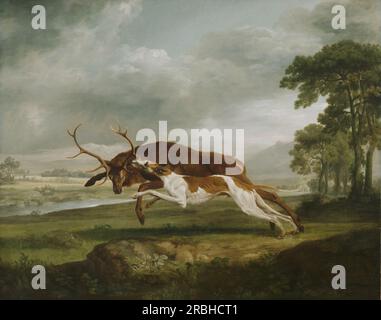 Hound Coursing a Stag 1762 par George Stubbs Banque D'Images