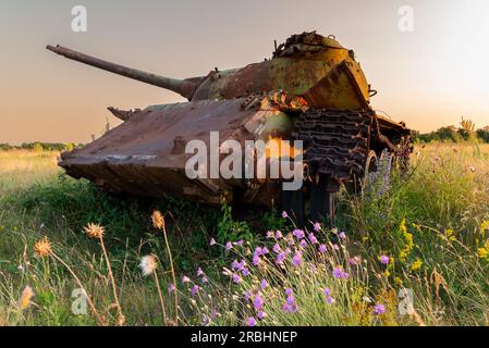 Détruit rouillé, abandonné et brûlé le char de combat dans les champs verts au coucher du soleil. Vous pouvez utiliser cette image comme illustration par exemple guerre Banque D'Images