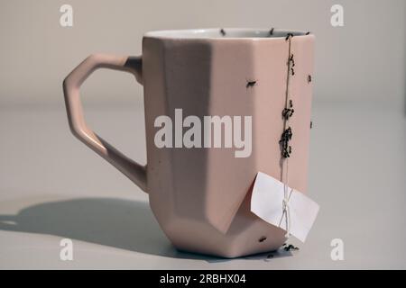 Un fléau de fourmis dans la cuisine - tombant sur une tasse Banque D'Images