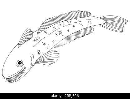 Vecteur d'illustration isolé graphique de poisson de merlu noir blanc Illustration de Vecteur