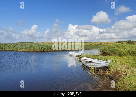 Bateau dans les roseaux, Nymindegab, Danemark du Sud, Danemark Banque D'Images