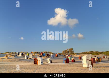 Chaises de plage et tentes de plage sur la plage, île de Borkum, Basse-Saxe, Allemagne Banque D'Images