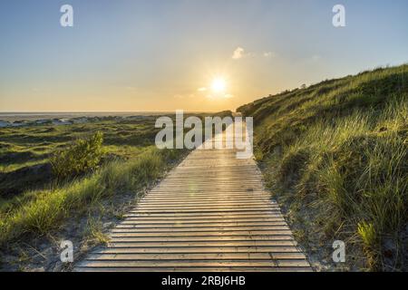 Chemin à travers les dunes, île de Borkum, Basse-Saxe, Allemagne Banque D'Images