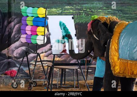 éléphant peinture éléphant éléphant. L'éléphant est une peinture d'artiste. Elephant Show en Thaïlande Banque D'Images