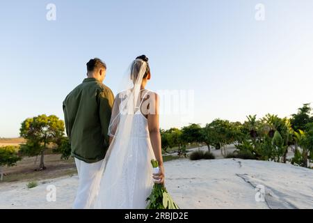 Vue arrière d'un jeune couple biracial nouvellement marié marchant à la plage de sable au milieu des arbres contre un ciel clair. Copier l'espace, inaltéré, l'amour, ensemble, la destination Banque D'Images