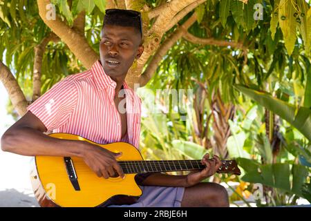 Homme biracial jouant de la guitare assis à l'ombre d'un arbre sur la plage ensoleillée. Musique, détente, style de vie, été et vacances, inchangé. Banque D'Images