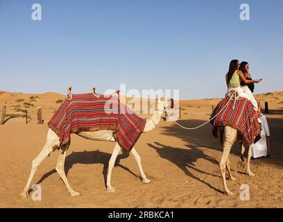 Balade à dos de chameau dans le désert, Ra’s al-Chaima, Émirats arabes Unis eau Banque D'Images