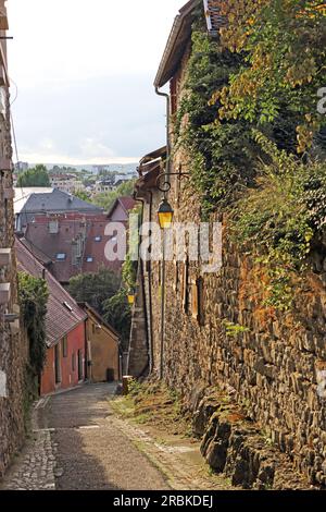 Rue du Château, Annecy, haute-Savoie, Auvergne-Rhone-Alpes, France Banque D'Images