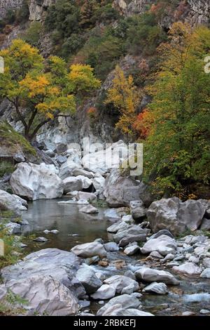 Dans la vallée de la Roya près de Saorge, Alpes-Maritimes, Provence-Alpes-Côte d'Azur, France Banque D'Images