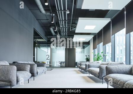 salle d'attente spacieuse avec canapés gris et confortables, grandes fenêtres et plantes vertes dans un environnement de bureau contemporain, organisation de l'espace de travail conce Banque D'Images