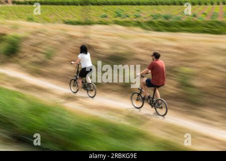 Deux cyclistes sur la piste de terre le long du Canal du midi, près d'Argens-Minervois, Aude, France, Europe Banque D'Images