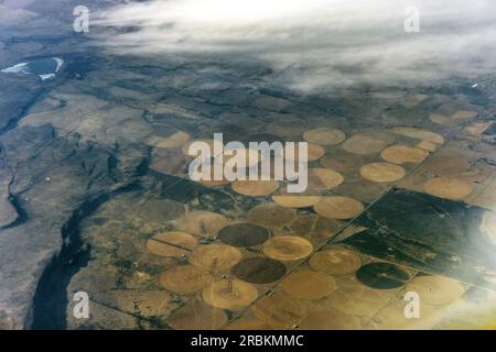 Nombreux champs céréaliers irrigués circulaires dans le désert, systèmes d'irrigation pivot, photo aérienne, USA, Arizona, Sonora-Wueste, Phoenix Banque D'Images