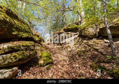 Labyrinthe rocheux sous les ruines de Nordburg Lichtenstein au Lichtenstein, Parc naturel Hassberge, quartier Hassberge, Basse-Franconie, Franconie, Bavari Banque D'Images