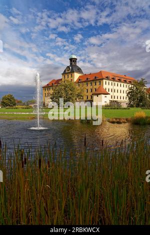 Château de Moritzburg et Parc du Château à Zeitz, Burgenlandkreis, Saxe-Anhalt, Allemagne Banque D'Images