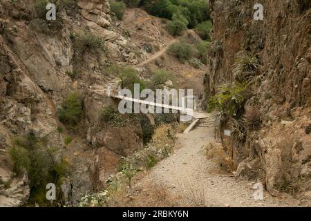 Randonnée à travers le Canyon de Colca en suivant la route de Cabanaconde à l'Oasis. Banque D'Images