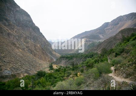 Randonnée à travers le Canyon de Colca en suivant la route de Cabanaconde à l'Oasis. Banque D'Images