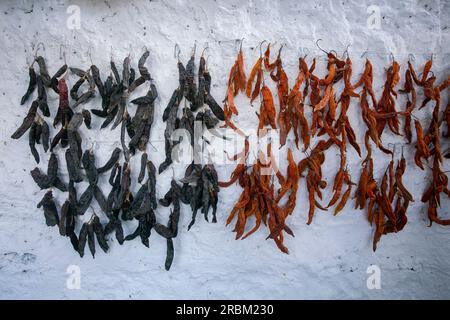 Piments Chili séchés suspendus dans un Picanteria, un restaurant traditionnel à Arequipa, peu. Banque D'Images