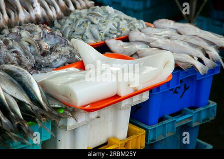 Stands de poissons vendant des calmars et des seiches au marché alimentaire Sant Camilo à Arequipa, Pérou. Banque D'Images