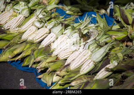 Épis de maïs dans un étal du marché central de fruits et légumes à Arequipa, Pérou. Banque D'Images