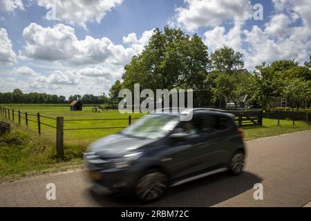 WAPSE - Pasture où un loup a été abattu après avoir blessé un éleveur de moutons. L'éleveur de moutons a essayé de chasser le loup après avoir découvert qu'il avait tué certains de ses moutons. Le pâturage est équipé d'une grille résistante aux loups avec clôture électrique. ANP VINCENT JANNINK netherlands Out - belgique Out Banque D'Images