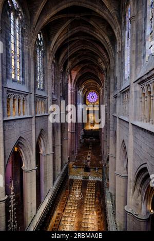 France, Aveyron (12), Rodez, cathédrale gothique notre-Dame des 13e et 16e siècles Banque D'Images