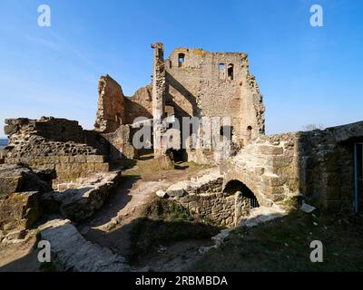 Ruines du château de Homburg et ruine Homburg nature Reserve, Basse-Franconie, Franconie, Bavière, Allemagne Banque D'Images