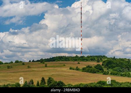 La réserve naturelle de Lange Rhön dans la zone centrale de la réserve de biosphère de Rhön, Hesse, Bavière, Allemagne Banque D'Images