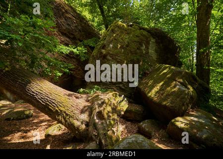 Le groupe rocheux de grès rhétique Diebskeller près d'Altenstein, Hassberge nature Park, Basse-Franconie, Bavière, Allemagne Banque D'Images