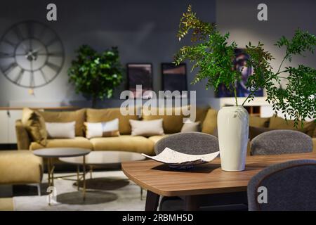 Long vase en porcelaine blanche avec deux branches vertes debout sur une table en bois entourée de plusieurs chaises en velours gris doux pour les employés de bureau Banque D'Images