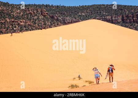 Planche de sable sur les Coral Pink Sand Dunes Utah USA Banque D'Images