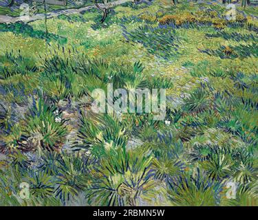 Long Grass avec papillons, Vincent van Gogh, 1890, Banque D'Images