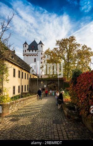 Château électoral, Eltville, Rhin, Rheingau, Hesse, Allemagne Banque D'Images