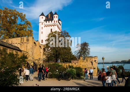 Château électoral, Eltville, Rhin, Rheingau, Hesse, Allemagne Banque D'Images