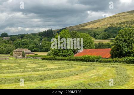 Herbe coupant près de l'église à Dent avec l'herbe empilée en crêtes et avec les felles dans la distance avec des nuages gris planant au-dessus Banque D'Images