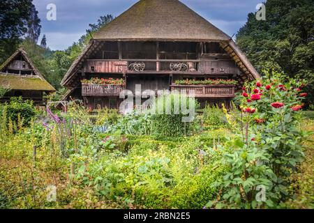 Vogtsbauernhof à Gutach, Forêt Noire, Bade-Württemberg, Allemagne Banque D'Images