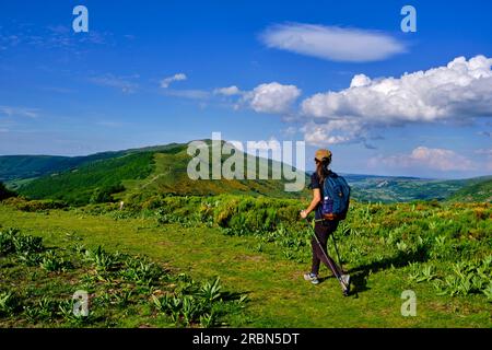 France, Cantal (15), Parc naturel régional des Volcans d'Auvergne, montagnes du Cantal, randonnée au Puy Mary Banque D'Images