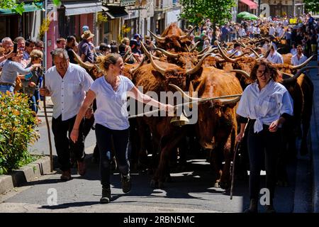 France, Cantal, Allanche, Parc naturel régional des Volcans d'Auvergne, plateau du Cézallier, Festival Estive Banque D'Images