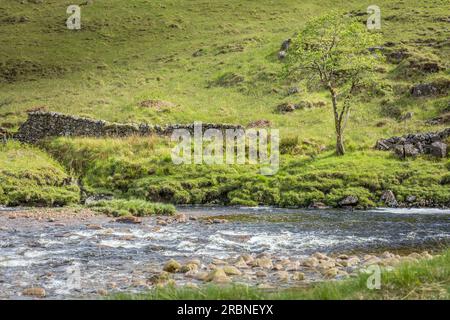 River Etive à Glen Etive, Highlands, Écosse, Royaume-Uni Banque D'Images