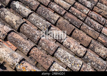 Gros plan de vieilles tuiles altérées dans un village médiéval de la province de Barcelone, en Espagne. Très vieux carreaux recouverts de mousse et de lichens. Banque D'Images