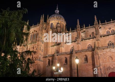 Cathédrale de Salamanque la nuit - Salamanque, Espagne Banque D'Images