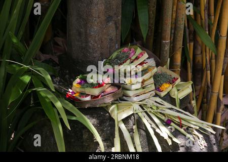 Canang sari, contenant en bambou tissé avec riz, fleurs, encens, bonbons et fruits. C'est une offre aux Dieux, comme un geste de gratitude à Bali Banque D'Images