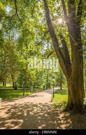 Début d'été dans les jardins thermaux de Bad Homburg vor der Höhe, Taunus, Hesse, Allemagne Banque D'Images