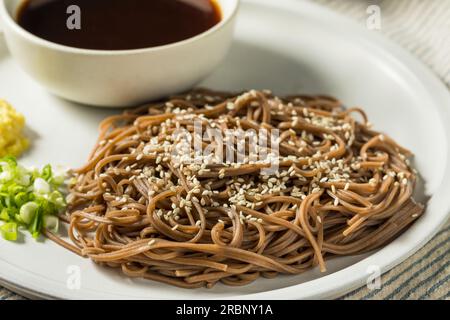Nouilles Soba japonaises maison au sarrasin avec sauce soja Banque D'Images
