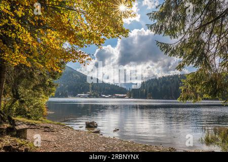 Ambiance d'automne sur la rive ouest du Spitzingsee, haute-Bavière, Bavière, Allemagne Banque D'Images