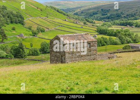 Le magnifique dale de Swaledale en été, Yorkshire Dales, Royaume-Uni avec des collines balayantes, des prairies vertes, des murs en pierre sèche et des granges en pierre ou des maisons de vaches Banque D'Images