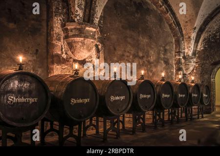 Vieux tonneaux dans la cave à vin du monastère cistercien à Eberbach près de Kiedrich, Rheingau, Hesse, Allemagne Banque D'Images